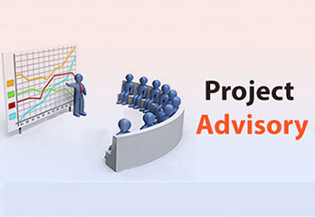 Project Advisory Services